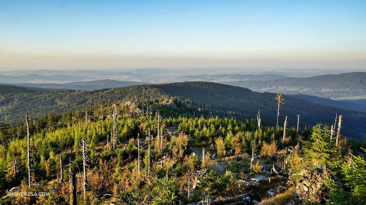 Velký Ostrý, výhled na Klatovy